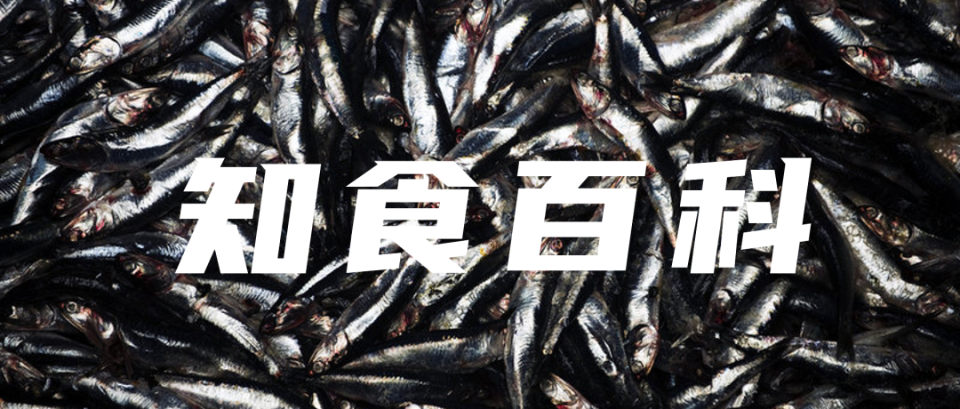 知食百科.png