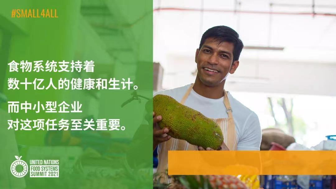 UNFSS SMEs Banner.jpg