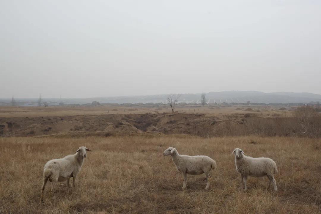 微信图片_20211218211251.jpg